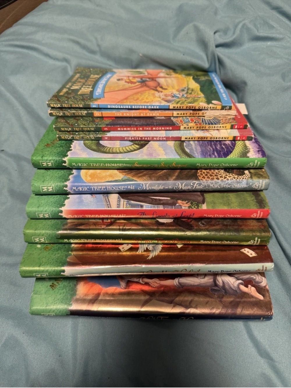 Magic Treehouse Books X 10